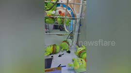 Arcade-goer shows off skills on claw grabber machine game