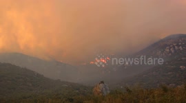 Forest fires break out in Syria’s Latakia and Hama cities