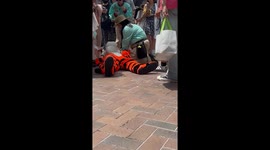 Winnie the Pooh tiger mascot faints from heat at Disneyland in China