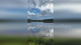 US: Two Alligators Spotted In Huntington Beach State Park