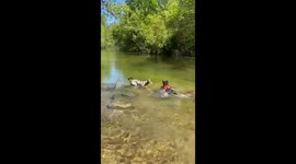 Nuestra valiente perra negra se lanza a por un palo, dejándose llevar por la corriente… mientras suena ‘Y se marchó’. A veces la diversión y la aventura se mezclan con la naturaleza.