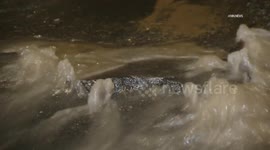 US, Los Angeles: Pacific Palisades Water Main Break in Wildfire Burn Area