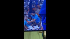 Bird brains server mid-shift at Hilton Head seafood spot- becomes viral perch in 2.4M-view TikTok