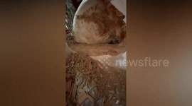 Firefighters smash through wall to rescue horse stuck between rock face and wall