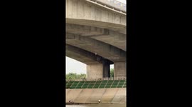 Fishing attempt on bridge ends as catch slips back into lake in Sichuan, China