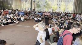 Caribbean Netherlands: Dutch diplomats and civil servants protest war and famine in Gaza