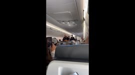 Man frogmarched off LA flight after hurling 'racist slurs' at passengers