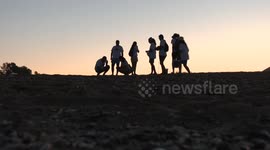 Heartwarming moments: Endangered baby sea turtles embark on perilous voyage to sea