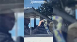Russia, Ukraine exchange 84 war prisoners from each side