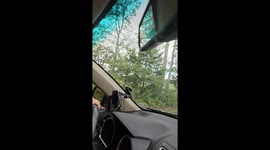 Crop duster causes proper panic—Virginia family’s viral freak-out hits 2.6M views