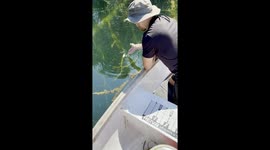 Largemouth Bass Baiting Master Level
