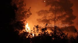 Wildfires spread across western Syria