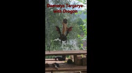 Wild squirrel rides smoke-breathing dragon in clever photoshoot