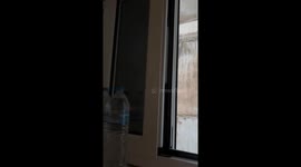 Greek tuxedo cats spying. Hilarious