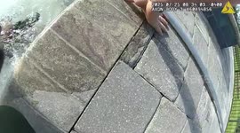 Florida police officer wrangles alligator with his bare hands