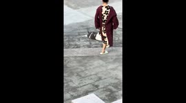 Woman rolls and carries chubby cat inside in Zhejiang, China