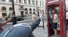Tusk Turtle Trail - Andrew Scott turtle Don't Let Go is turning heads outside Sofitel London St James hotel