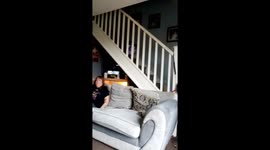 Cat clutches a gigantic bag of crisps while walking down the stairs