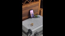 Genius Parrot TikTok Tech Master