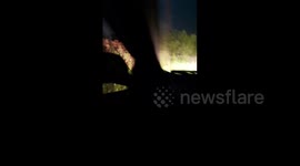 Pakistan: Leopard Spotted in Atr Sheesha, Mansehra, Tourists Encounter Wild Predator
