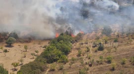 Syria continues to fight wildfires in western regions