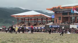 Horse hits event worker and cameraman at festival in China