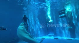 Beluga whale bites divers inside its aquarium