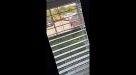 Man Leaps On Moving Car During Argument