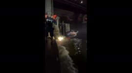 FDNY Marine 6 Rescues Person Trapped in East River