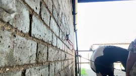 RAF Typhoon sonic boom rattles Mount Mascals Farm in Bexley, England