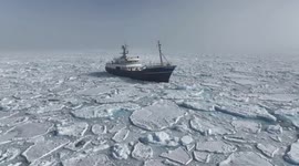 Turkish scientists spot rare Sei whales in Arctic during research mission
