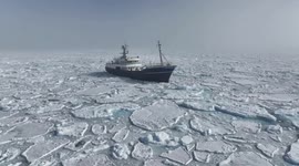 Turkish scientists spot rare Sei whales in Arctic during research mission