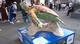 Tusk Turtle Trail 2025 - rich colours of Sea Turtle by Dave White adds sunshine to Piccadilly Circus