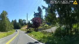 Deputy Rescues 70-Pound Runaway Tortoise From Roadway