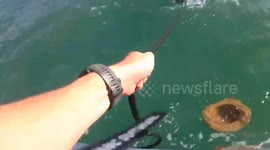 Florida Wildlife Officer Rescues Kayaker Clinging to Overturned Boat