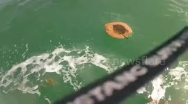 US: Heroic Rescue As Officer Saves Exhausted Kayaker Near Spanish Harbor Bridge
