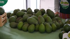 Peru: Peru celebrate its first Avocado Day