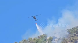 Efforts underway to contain large forest fire in southern Lebanon
