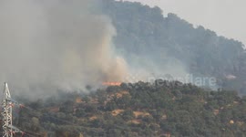 Spain: Wildfires ravage Spain as Europe endures heatwaves
