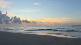 Peaceful sunrise with rolling waves in Hilton Head, South Carolina