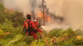Spain: Spain’s Military Emergency Unit fights flames in Galicia as wildfires spread nationwide