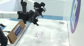 China: Robots tested for precision, adaptability, real-world applicability at 2025 World Humanoid Robot Games