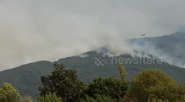 Spain: Spain battles wave of wildfires as over 115,000 hectares of land burned