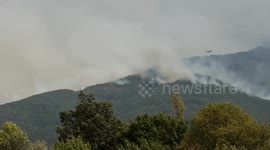 Spain battles wave of wildfires as over 115,000 hectares of land burned