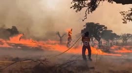 Spain: Spain battles wave of wildfires as over 115,000 hectares of land burned (4)