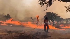 Spain battles wave of wildfires as over 115,000 hectares of land burned (4)