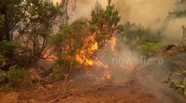 Spain battles wave of wildfires as over 115,000 hectares of land burned (5)