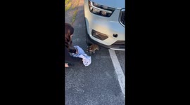 Anxious raccoon crying for his mom finds help from compassionate woman