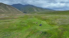 China: Mechanized equipment helps harvest forage grass in NW China