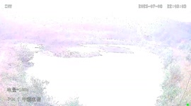 Lightning strikes tree with sparks and smoke in Guangdong, China